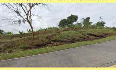 Dijual Tanah Kebun 6 Hektar di Desa Hatta, Bakauheni Lampung Selatan