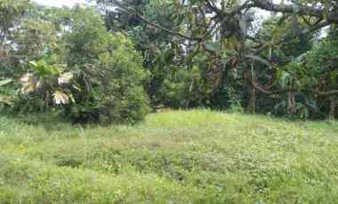 Tanah Strategis untuk Industri dan Gudang Pinggir Jalan Raya Purwadadi