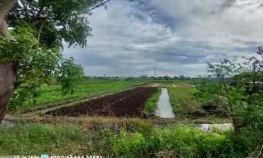 dijual tanah jalan suka karya babakan