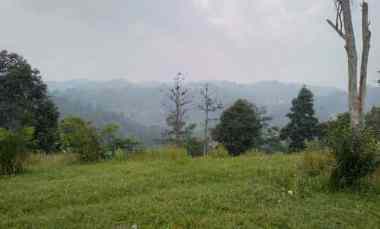 1,2 Ha Tanah Kebun View Lembah Bukit, Sadang Mekar Cisarua, Bandung