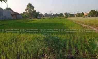 dijual tanah jalan sukarela timur jalan