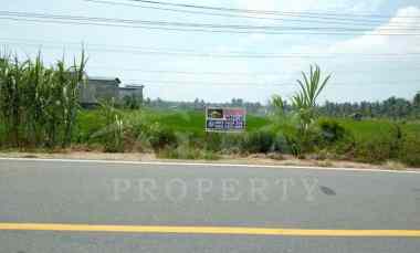 Tanah Dijual di Jalan Sungai Bakau Besar