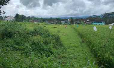 dijual tanah jalibar