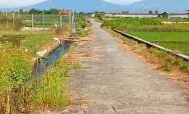 Tanah untuk Kolam Ikan 1936 m2 Janti Klaten 380 jt Nego