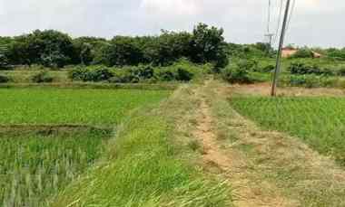 Tanah 2,5 Hektar SHM untuk Industri di Samping BYD Pabuaran Subang