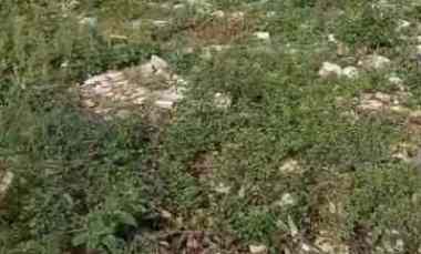 Dijual Tanah Luas 200 meter Lokasi Jatijajar Cimanggis Depok