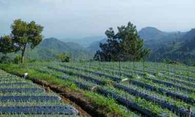 Tanah 1200m Siap Bangun Villa dekat Candi Cetho Karanganyar