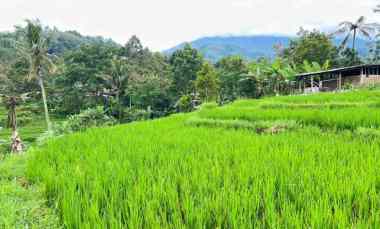 Dijual Tanah Cocok Dibangun Villa/Homestay View Indah Dialiri Sungai