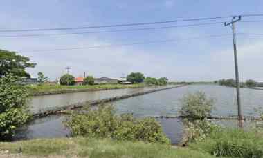 Jual Tanah Sangat Luas di Arteri Kaliwungu Kabupaten Kendal