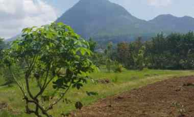 dijual tanah jl abdul gani atas