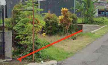 dijual tanah jl agrowisata