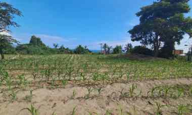 Jual Tanah Shm dekat Pantai di Jalan Banjar Siyut Gianyar Bali