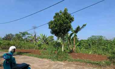 Tanah Dijual di Jl. Boma Lembang Pamulihan