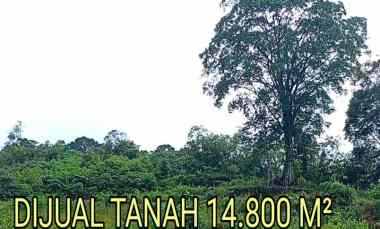 Dijual Lahan Glamping 1,4 Ha di Bandar Baru Ketinggian 1.036 MDPL