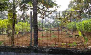 Tanah Kavling SHM di Megamendung Bogor untuk Rumah Tinggal Villa