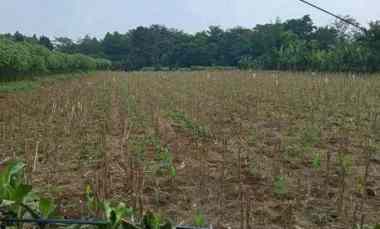 Dijual Lahan Tanah Kosong Pinggir jl Tol Jagorawi Bogor
