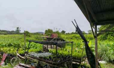 dijual tanah jl elang gg elang 12