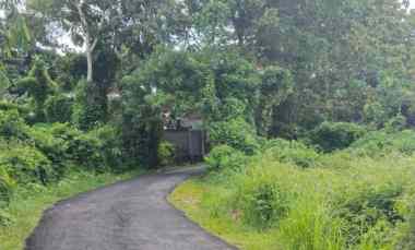 Tanah Dijual di Jl. Gubug Sari