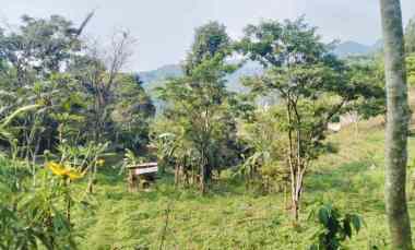 dijual tanah jl gunung geulis bukit