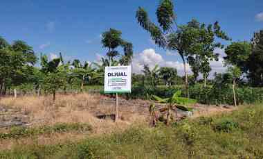 dijual tanah jl ikan layur kel sobo kec