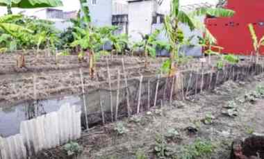 dijual tanah jl jenggolo 1 gg labet kec