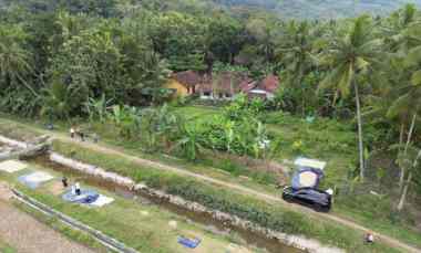 Dekat Bandara YIA View Sawah dan Bukit Cocok Hunian/Villa