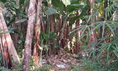dijual tanah jl kebo iwo selatan