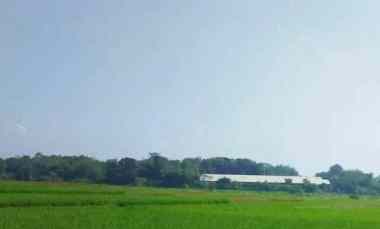 dijual tanah jl kp cibinong