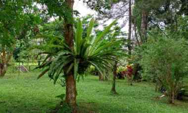 Dijual Villa Kebun Prestisius With View Gunung di Cijeruk Bogor