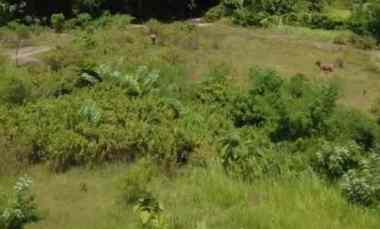 Dijual 97 are, jl. Melasti II View Pantai Pandawa Kutuh Kuta Selatan