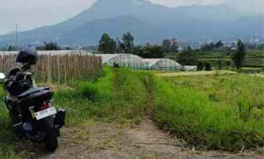 Tanah Termurah Area Perhotelan dan Villa di Metro Kota Batu