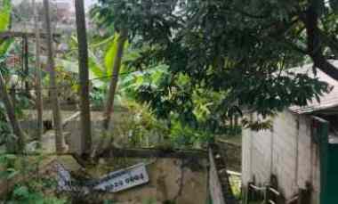 Dijual Cepat Tanah Kebun jl Nangka Gg Belong Tapos Depok Jawa Barat