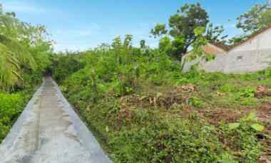 dijual tanah jl nasional jogja wates