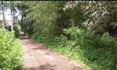 Tanah Dijual di Jl. Pasir Teureup Cijenuk