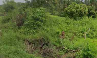 dijual tanah jl raya batuaji