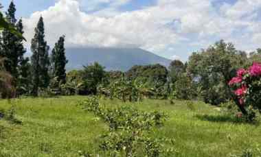 Dijual Tanah dan Kebun Durian Produktif di Caringin Bogor