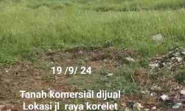 Dijual Tanah 2 Ha Lebar 50 M Ijin Industri Shm Korelet Panongan Tng