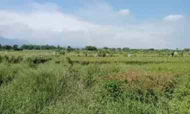 Jual Tanah Luas di Nol Jalan Raya Kembang Ringgit Mojokerto