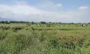 Jual Tanah Luas di Nol Jalan Raya Kembang Ringgit Mojokerto