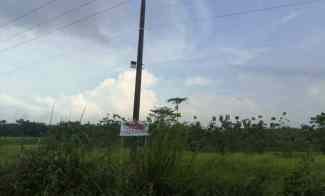 Dijual Tanah 1,75 H dekat Tol Cipali Lokasi Strategis Indramayu Gantar