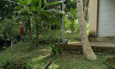 Tanah Dijual di Jl. Sedap Malam Br. Ketagon