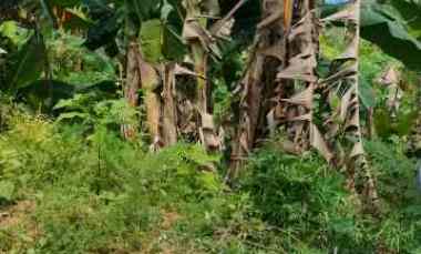 Dijual Cepat Tanah 200 M Sepinggan Selatan Strategis dekat Bandara