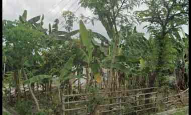 dijual tanah jl tawang krida