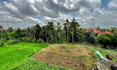 dijual tanah jl tirta tawar ubud gianyar bali