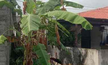 Tanah Dijual di Jl. Tumbak Bayuh