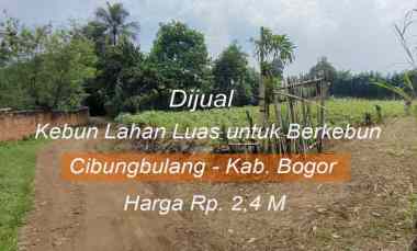 dijual tanah jl wangun jaya kelurahan