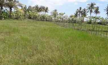 Tanah Dijual di Jln. Muara Putat, Pemenang Timur Lombok Utara, NTB. .