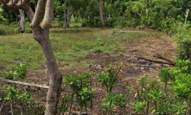 dijual tanah jln pantai balangan