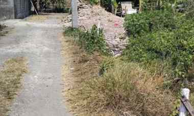 Dijual 1,5 are, jl. Siulan Gg. Taman Sari Penatih Dangin Puri Denpasar