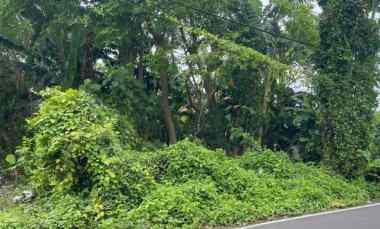 Tanah Dijual di Jln. Veteran